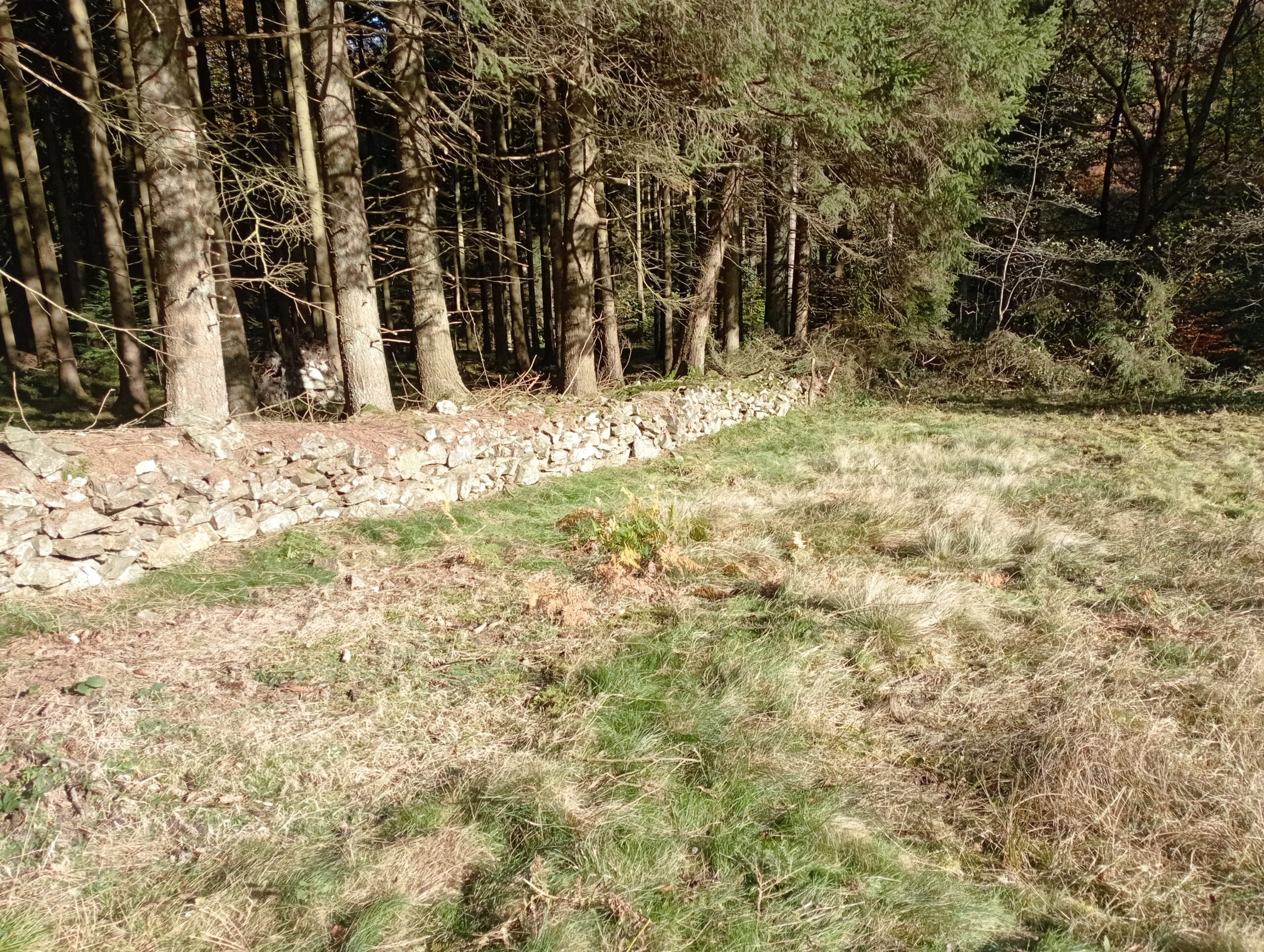 Nardaie et vieux mur de pierres